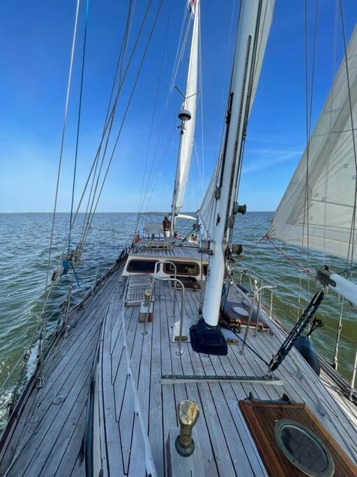 Classic Sailing Ship In Center Of Enkhuizen! Esterno foto